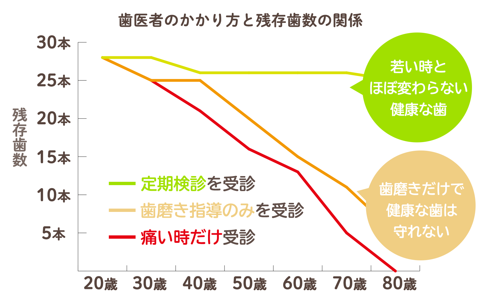 歯医者のかかり方と残存歯数の関係